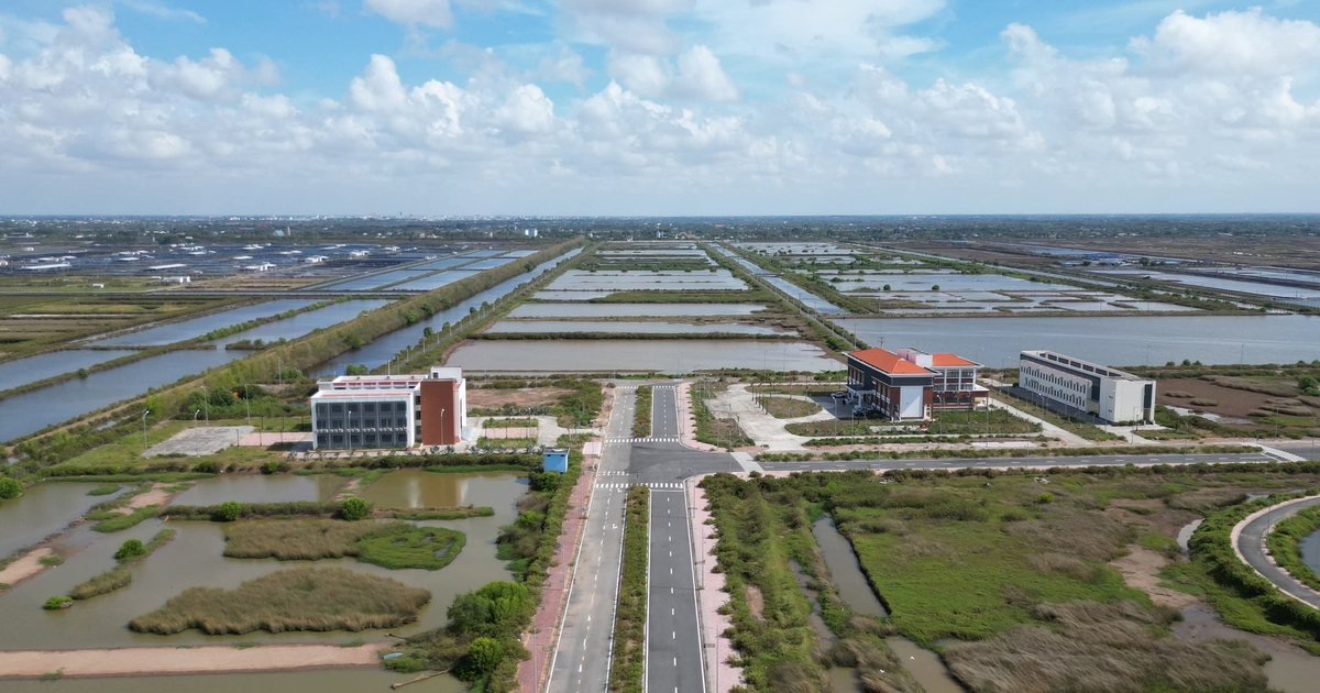 Khu tôm công nghệ cao 338 tỉ đồng tại Cà Mau bây giờ ra sao?