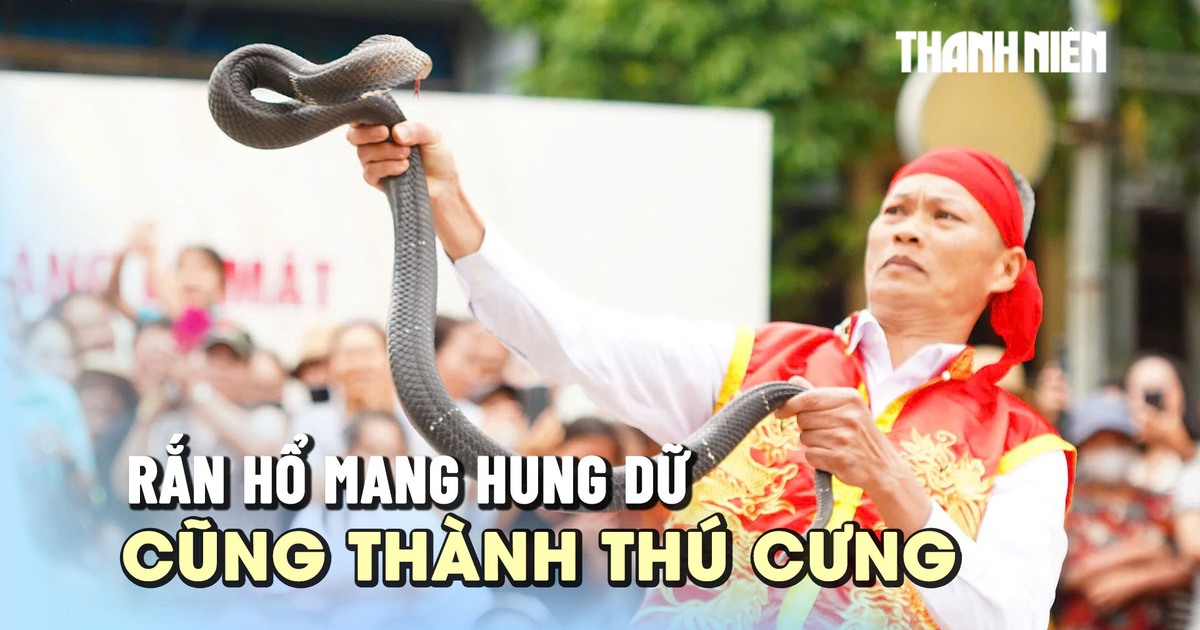 Múa rắn giữa sân đình, nghệ nhân 50 năm chưa từng bị cắn