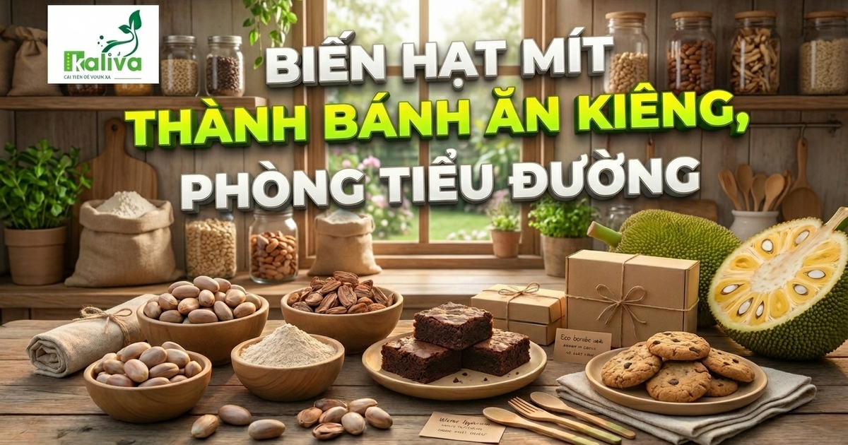 Cùng sống xanh số 148: Hạt mít thành bánh ăn kiêng