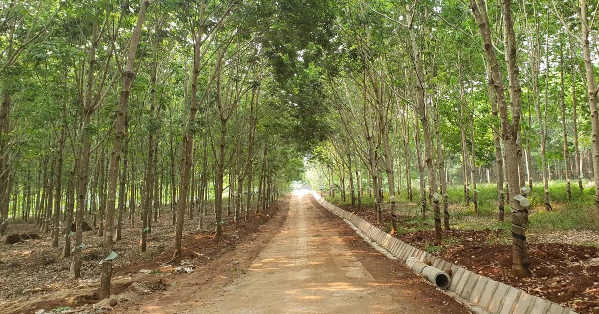 Cẩn trọng kẻo đi vào 'vết xe đổ'