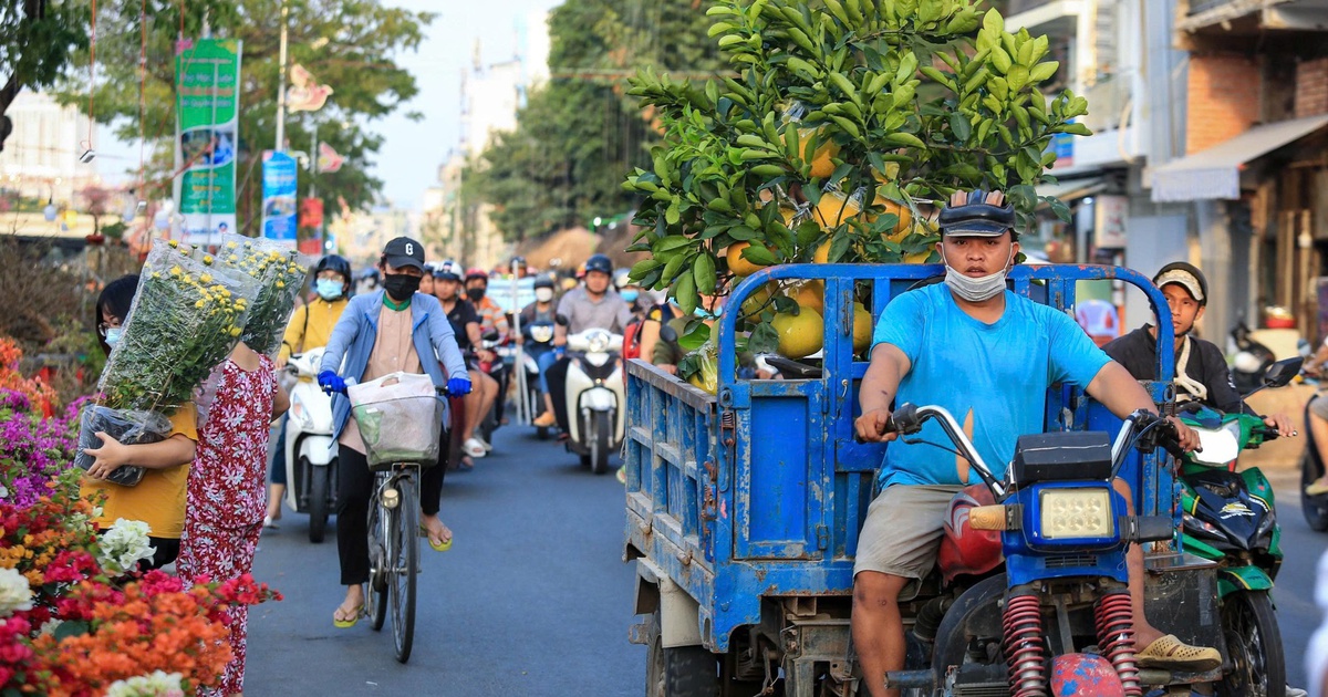 Rắc rối 'giấy khai sinh' cho hàng vận chuyển trên đường