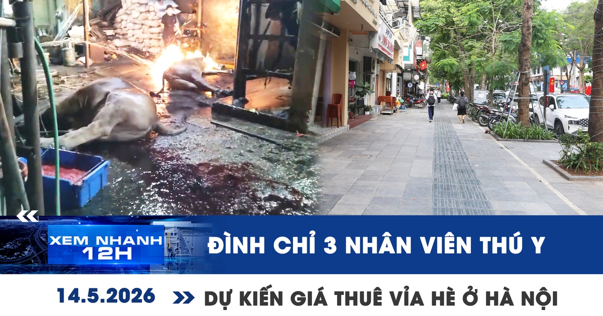 Xem nhanh 12h: Hà Nội đình chỉ 3 nhân viên thú y | Dự kiến giá thuê vỉa hè 45.000 đồng/m2/tháng