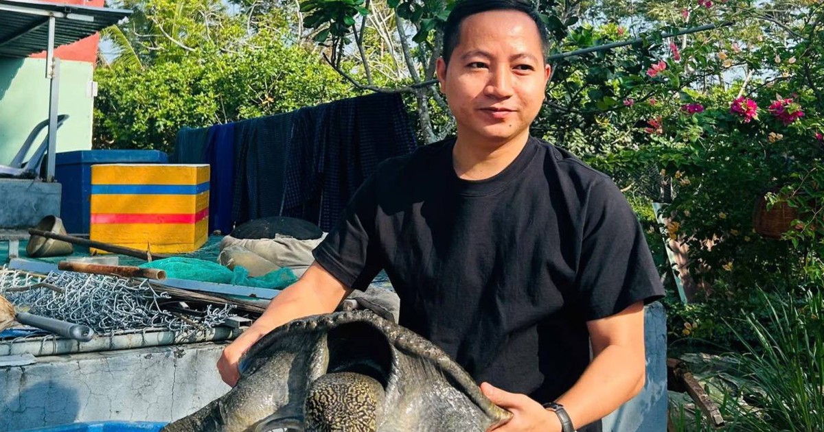 Chàng trai mát tay làm 'bà mụ' cho cua đinh, bán gần 500 con giống/năm