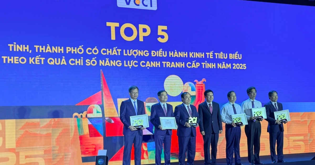 TP.HCM đứng đầu về chỉ số hiệu quả kinh tế tư nhân