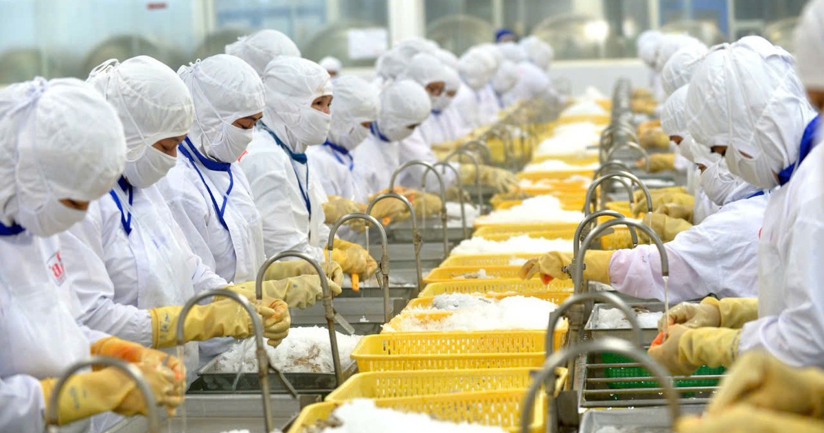 Xuất khẩu tôm vào Mỹ lại gặp khó