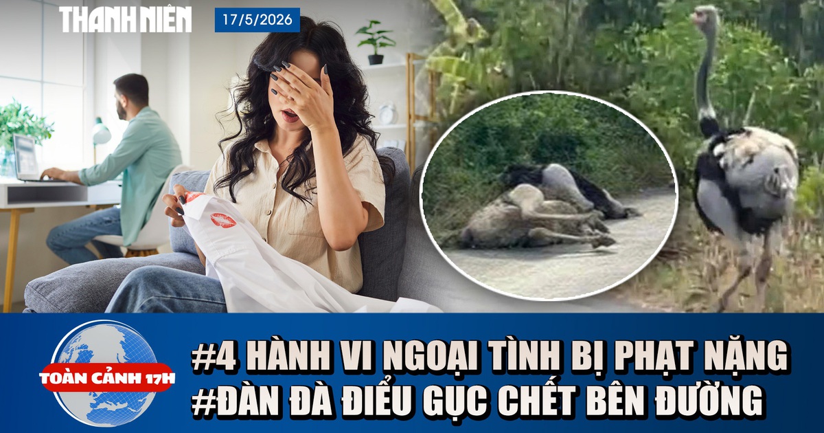 Toàn cảnh 17h: Bí ẩn đàn đà điểu gục chết bên đường | Tăng gấp đôi mức phạt người ngoại tình