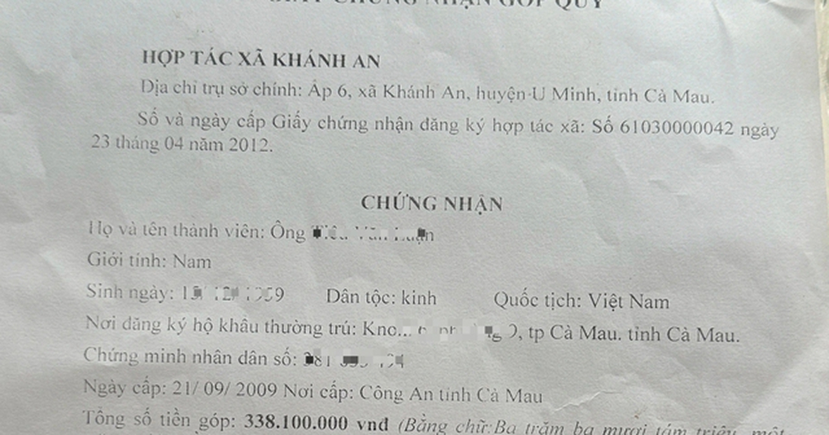 Sắp xử vụ Việt kiều Mỹ kiện đòi hơn 3,4 tỉ đồng tiền lợi nhuận hợp tác xã