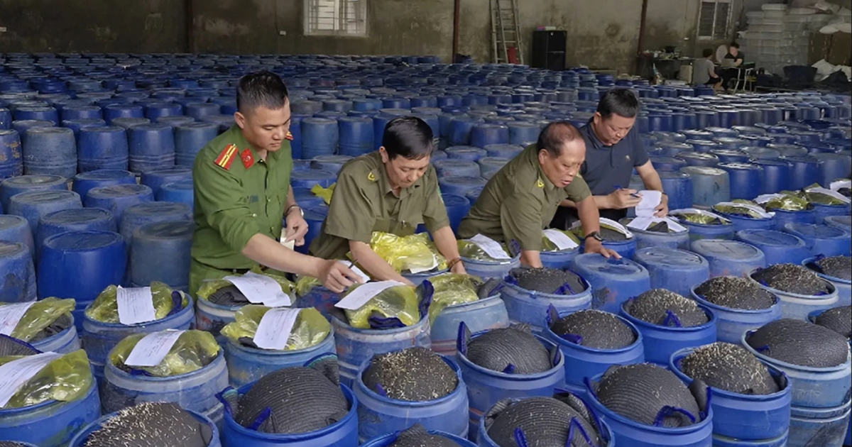Thực phẩm bẩn 'giết người gián tiếp', đề nghị tăng phạt tù để răn đe cực mạnh