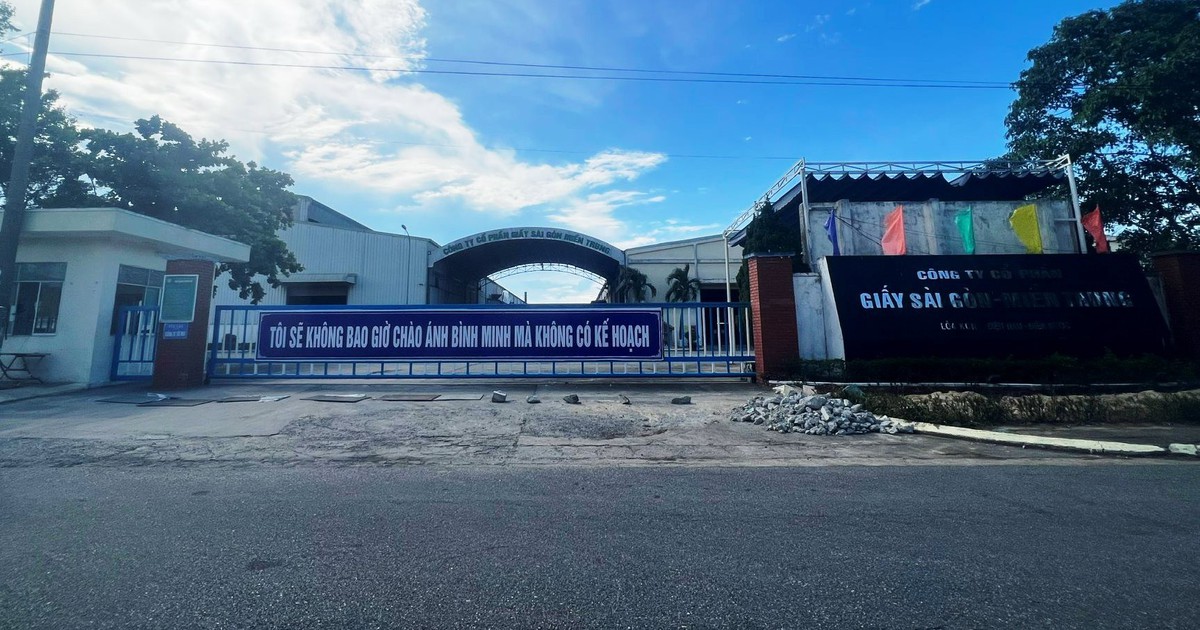 Đà Nẵng vào cuộc vụ doanh nghiệp giấy bị tố gây ô nhiễm môi trường