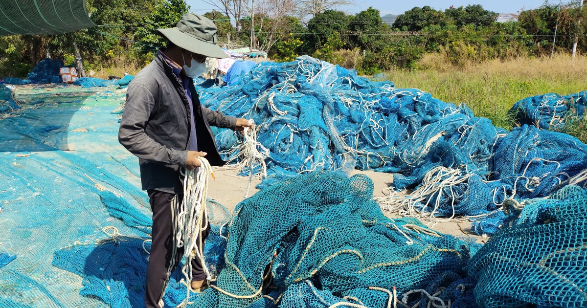 Xóm cắt lưới, phá dây thừng ở TP.HCM