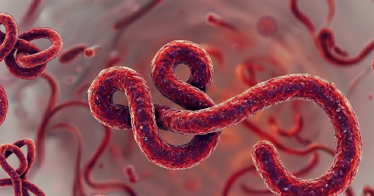 Không phải dịch mới, vì sao Ebola lần này khiến WHO ‘báo động’?