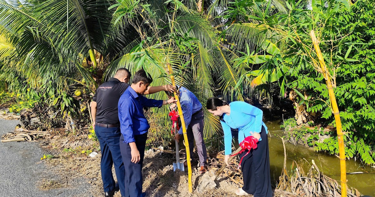 Trồng tre Đằng Ngà, tre Mạnh Tông nhân ngày sinh nhật Bác Hồ