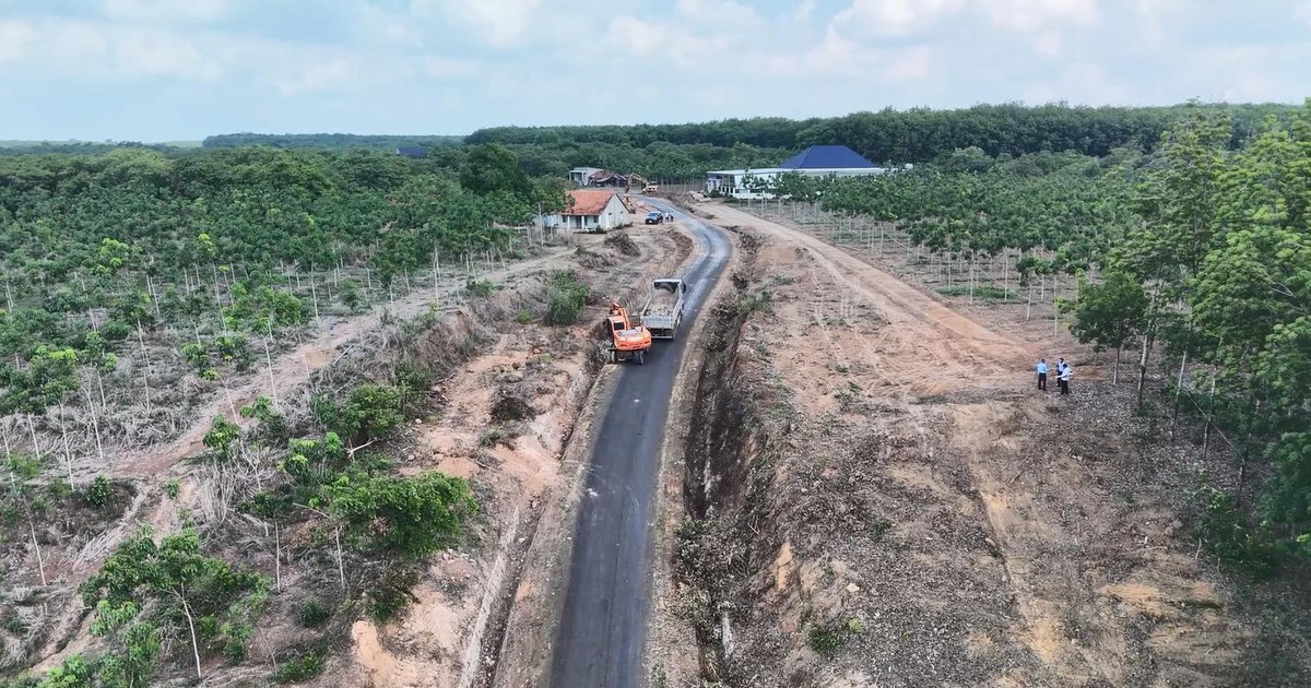 Đồng Nai: Người dân hiến đất trị giá khoảng 20 tỉ đồng để làm đường