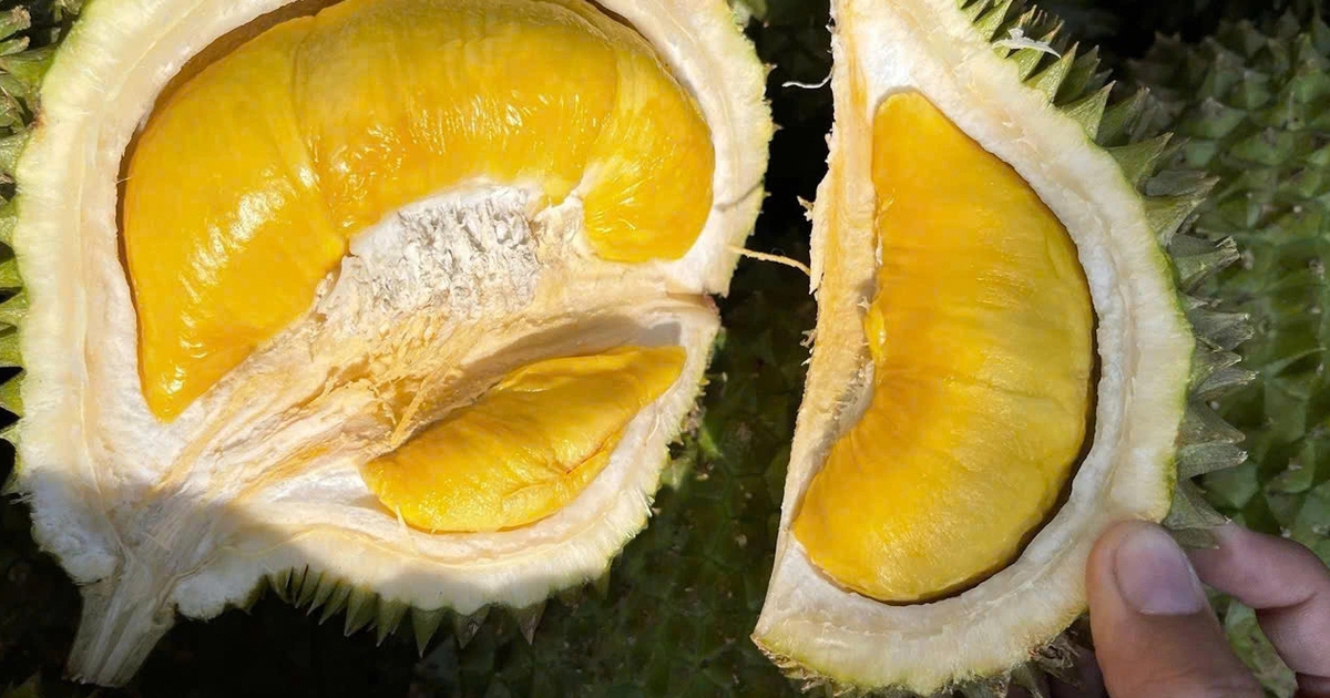 Xứ sở của Musang King tăng nhập sầu riêng Việt Nam