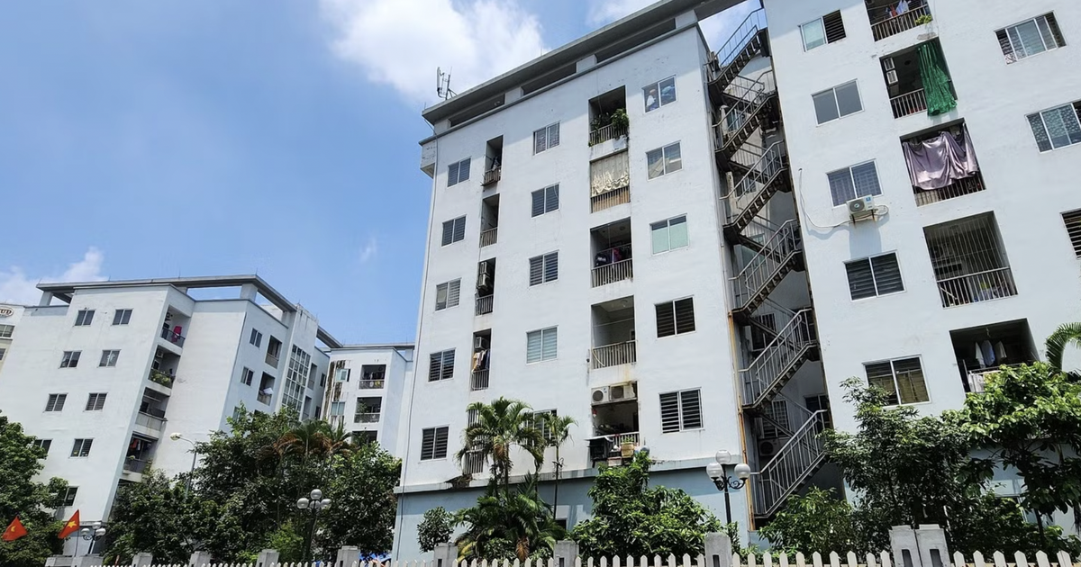 Nhà ở cho thuê cung không đủ cầu
