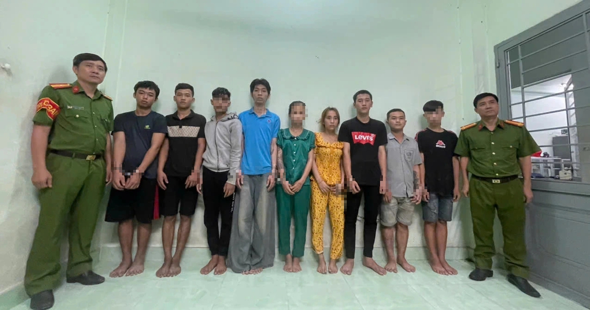 TP.HCM: Triệt phá băng nhóm gây ra 2 vụ cướp tài sản trong đêm