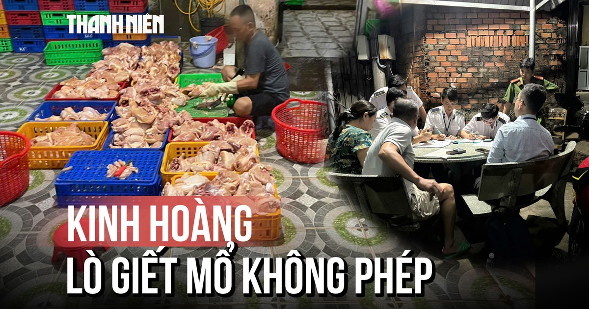 TP.HCM: Kinh hoàng 1 tấn gà không nguồn gốc