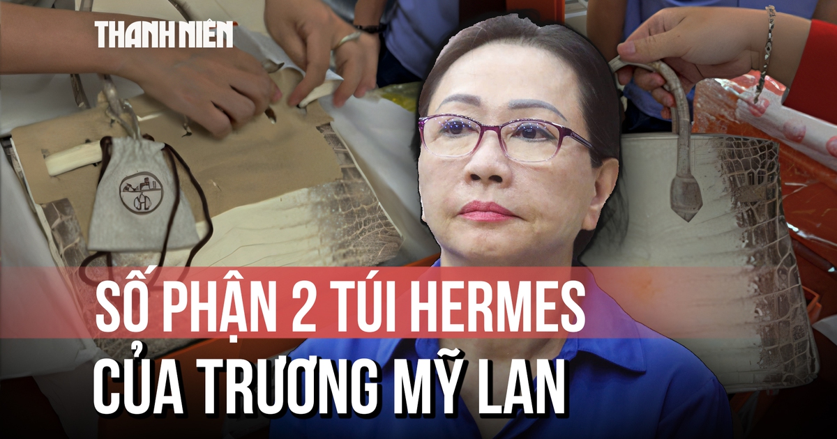 2 chiếc túi HERMES của Trương Mỹ Lan đã có chủ mới