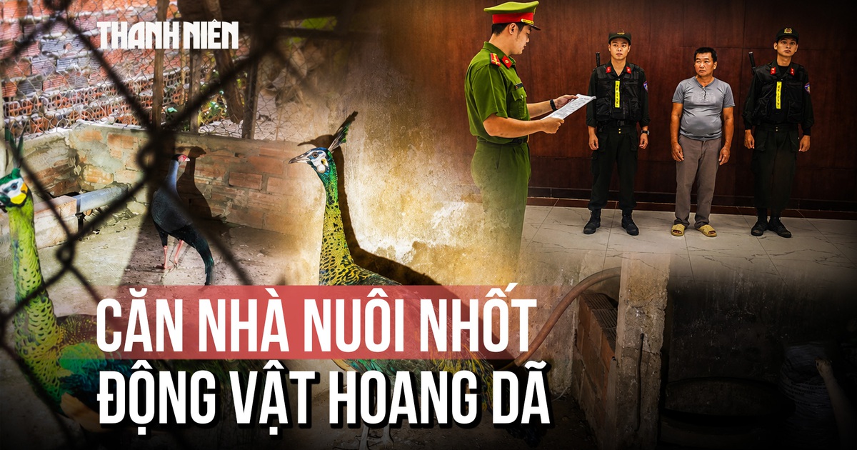 Bí mật 'kho' nuôi nhốt lậu nhiều động vật hoang dã quý hiếm