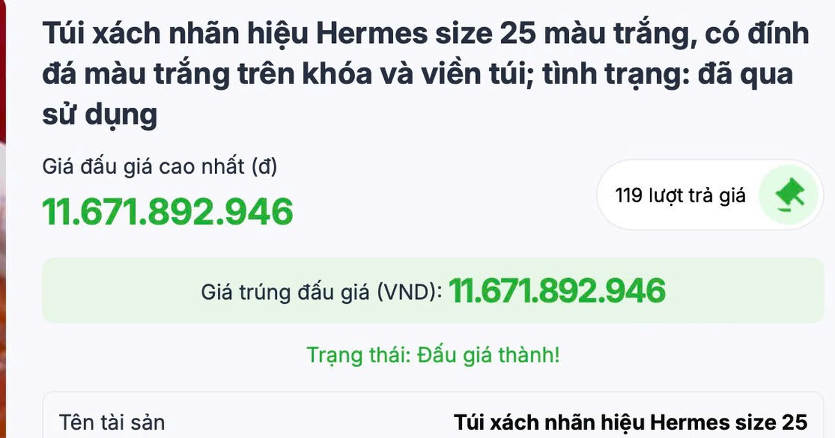 Đấu giá thành 2 túi HERMES của bà Trương Mỹ Lan
