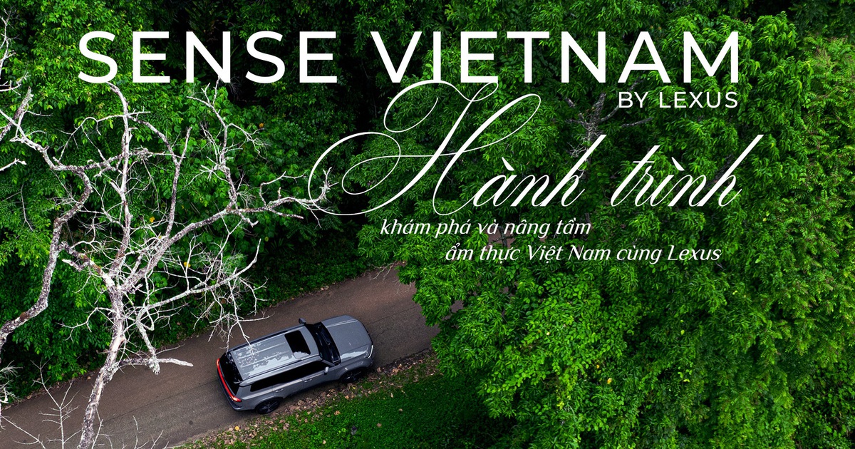 SENSE VIETNAM 2026 - Hành trình khám phá và nâng tầm ẩm thực Việt Nam cùng Lexus