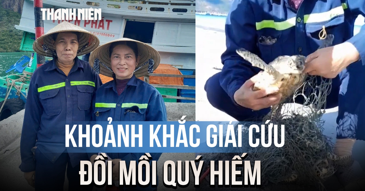 Khoảnh khắc giải cứu đồi mồi quý hiếm ở Côn Đảo