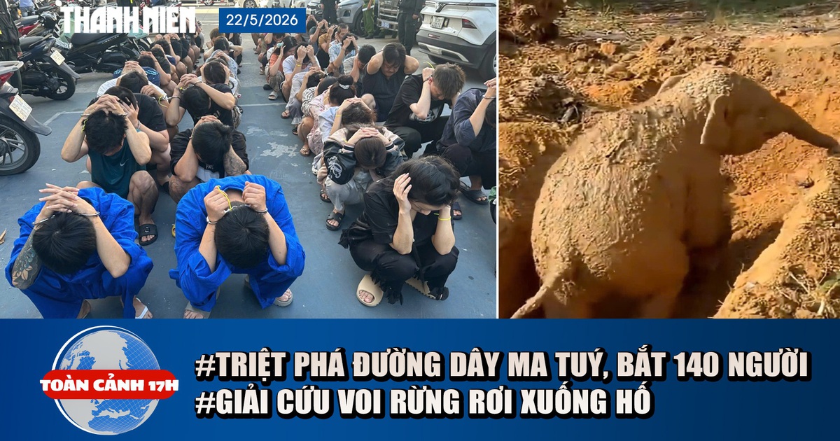 Toàn cảnh 17h: Triệt phá đường dây ma tuý, bắt 140 người | Cận cảnh giải cứu voi rừng rơi xuống hố