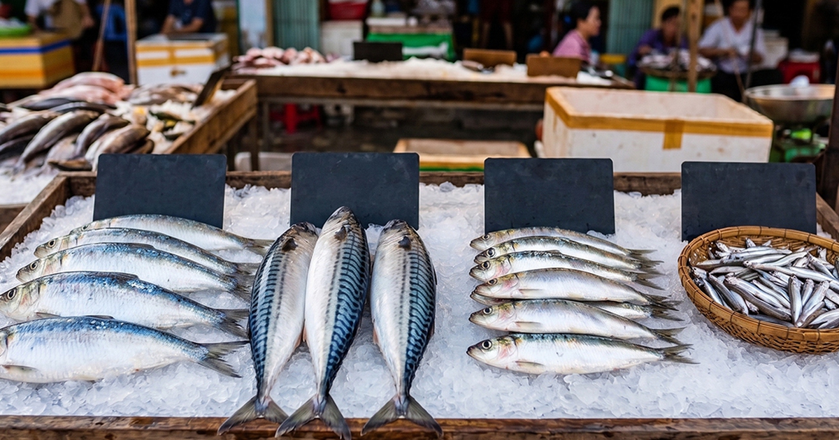 Bác sĩ gợi ý những loại cá giàu omega-3 cho người lớn tuổi