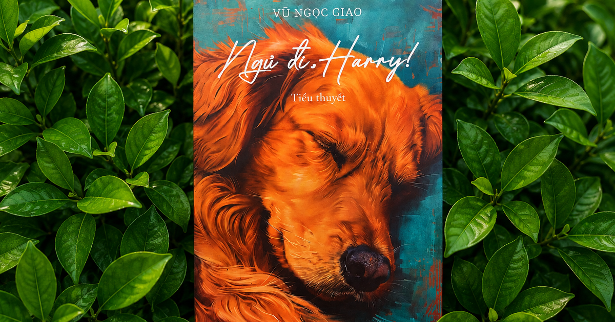 ‘Ngủ đi, Harry!’ - Tiếng gọi của lòng trắc ẩn