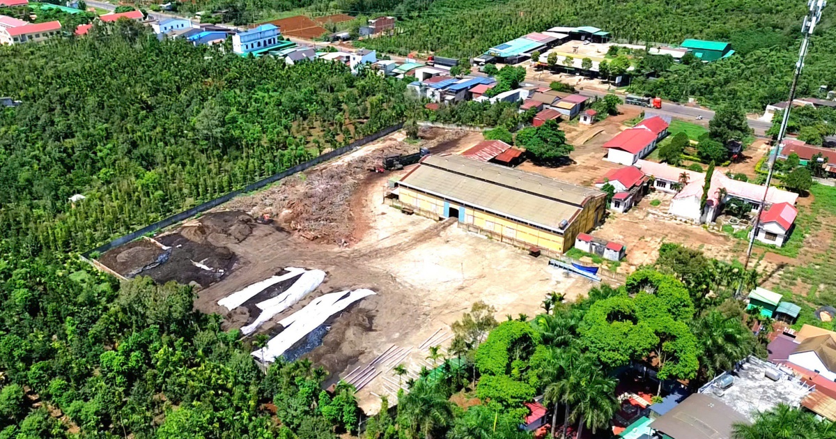 Khách chạy mất dép vì ruồi 'như ong vỡ tổ' bủa vây quán nước ở Đắk Lắk