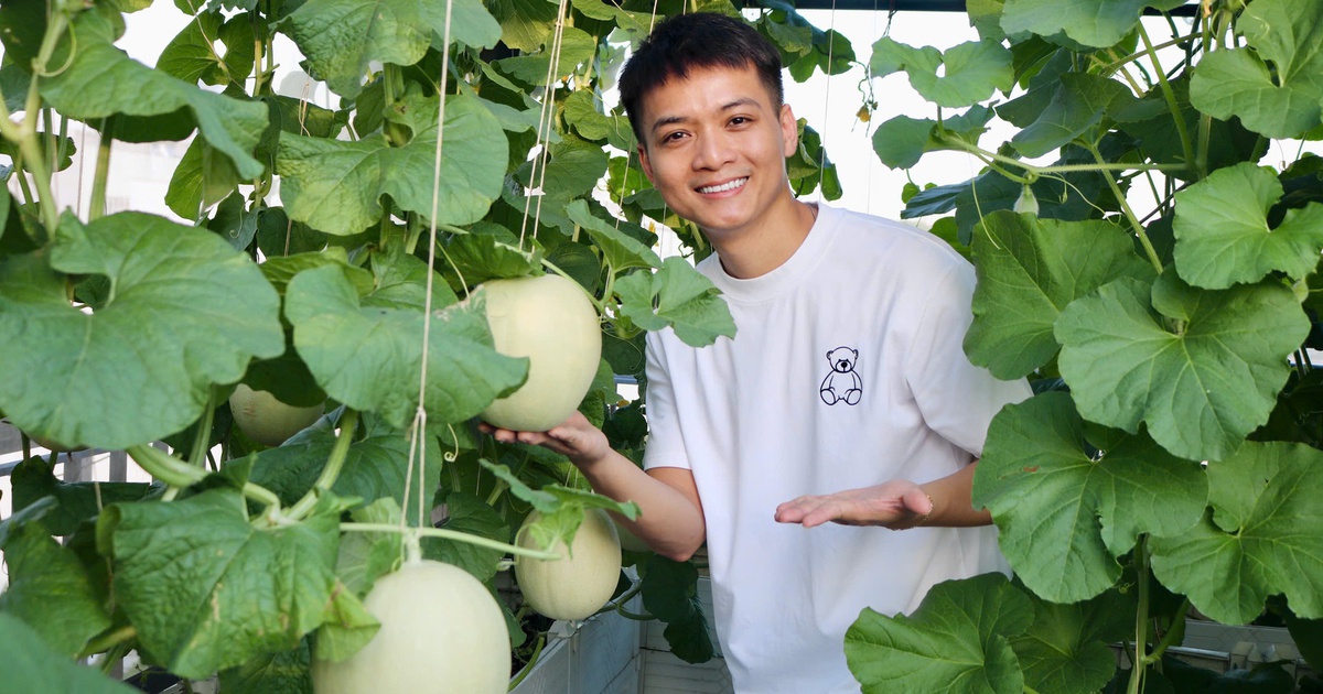 Mê tít khu vườn sân thượng giữa lòng thành phố của ông bố trẻ