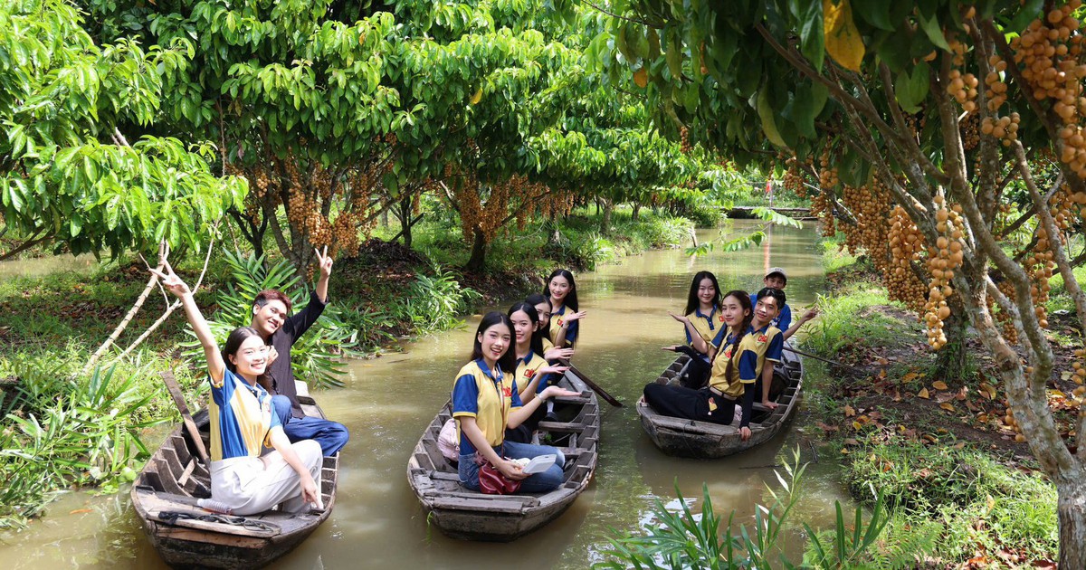 Nông dân làm du lịch từ vườn cây ăn trái, mỗi ngày đón hàng trăm khách
