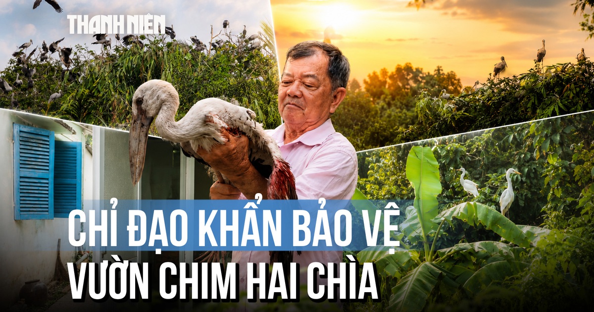 Vụ chủ vườn chim Hai Chìa kêu cứu: Chủ tịch UBND tỉnh Vĩnh Long chỉ đạo khẩn