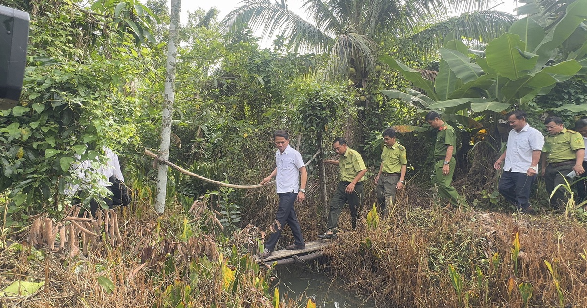Lãnh đạo tỉnh Vĩnh Long yêu cầu bảo vệ vườn chim Hai Chìa