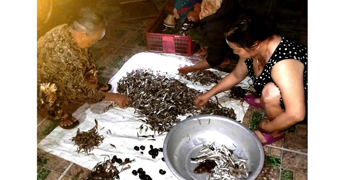 Nghề rim cá bống trứ danh hồ Lắk