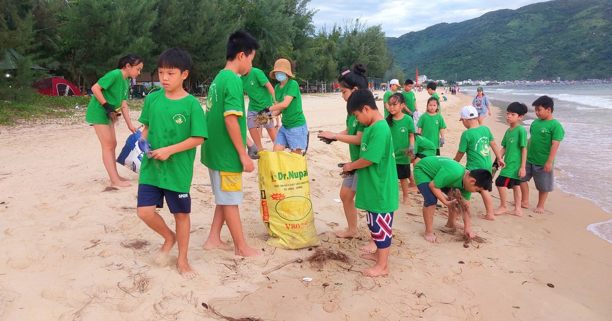 Thầy trò cùng lan tỏa tình yêu môi trường biển
