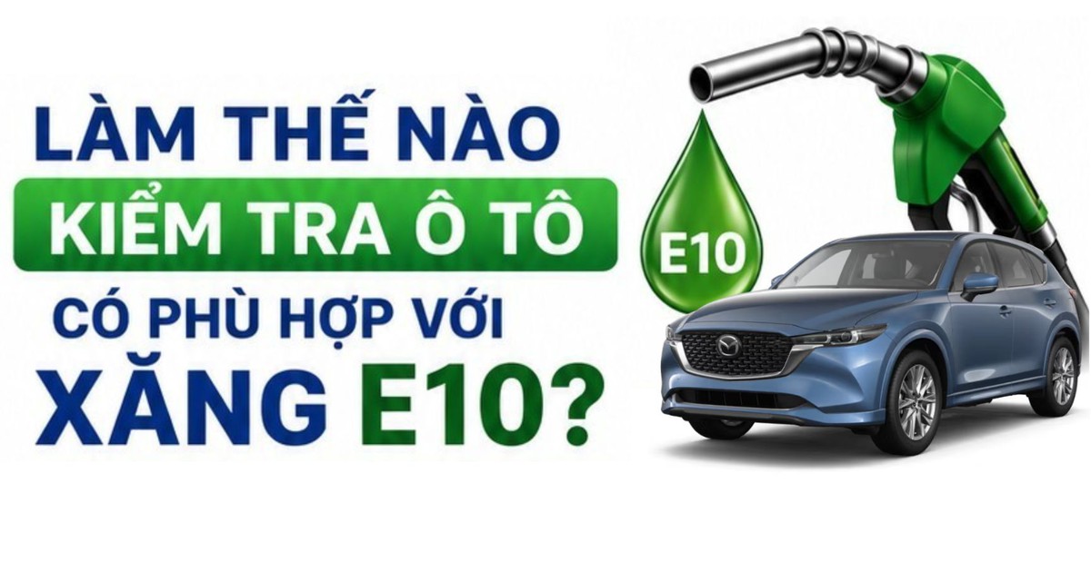 Làm thế nào kiểm tra ô tô có 'hợp' với xăng E10?