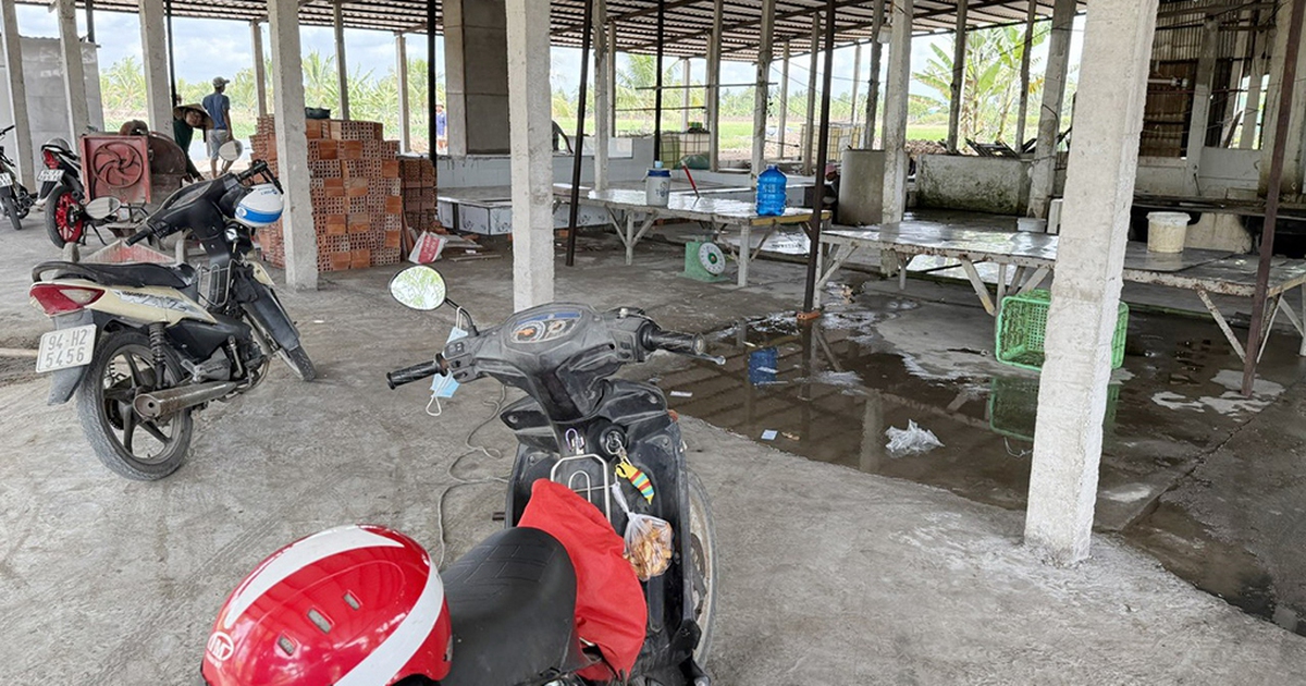 Lò giết mổ cạnh kho thuốc trừ sâu