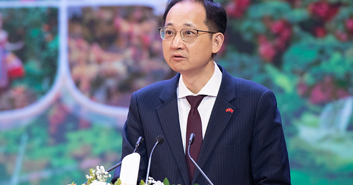 Vải thiều là "mỹ vị nhân gian", vải Quảng Đông chưa cạnh tranh được
