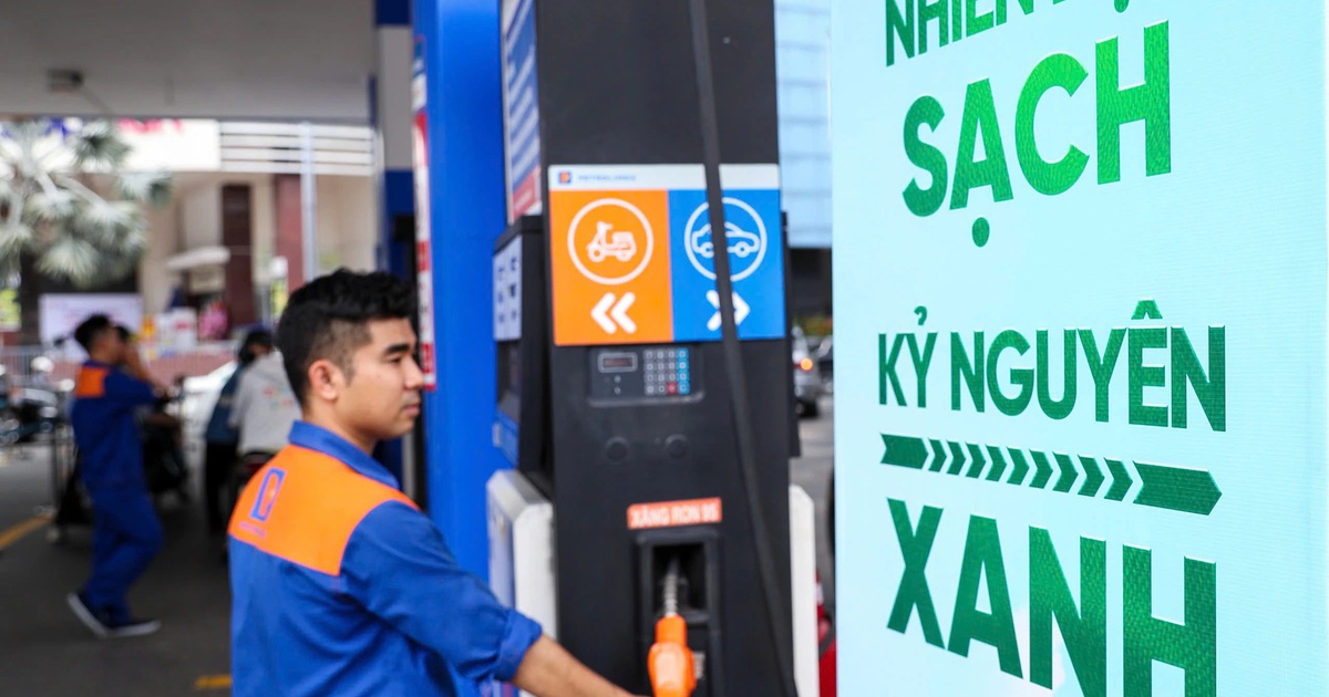 Lo đổi xăng A95 sang E10 hại động cơ, ngành đo lường chất lượng TP.HCM nói gì?