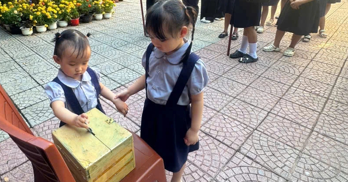 Những hạt mầm yêu thương