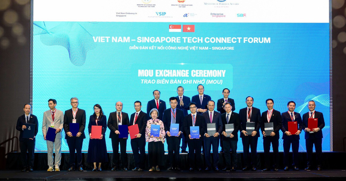 VIFC-HCM, Touchstone Partners và Quỹ Temasek Foundation ký kết thỏa thuận hợp tác chiến lược