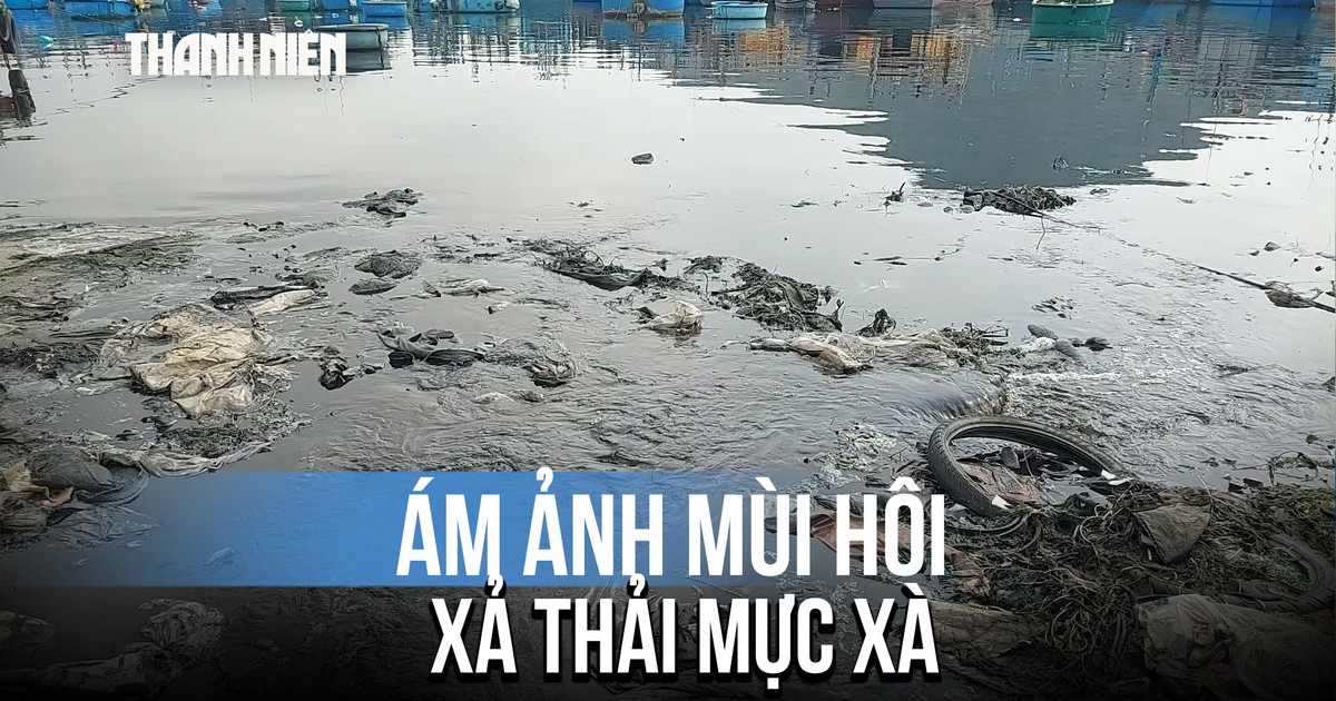 Rùng mình nước thải đen đặc 'bức tử' đầm Đề Gi: Ám ảnh mùi hôi mực xà