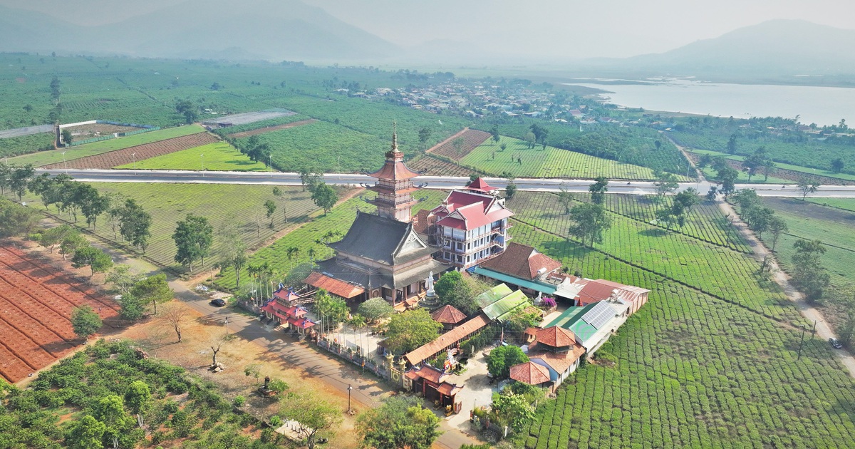 Thu kh&ocirc;ng đủ trả tiền c&ocirc;ng, l&agrave;m sao giữ v&ugrave;ng ch&egrave; Biển Hồ?