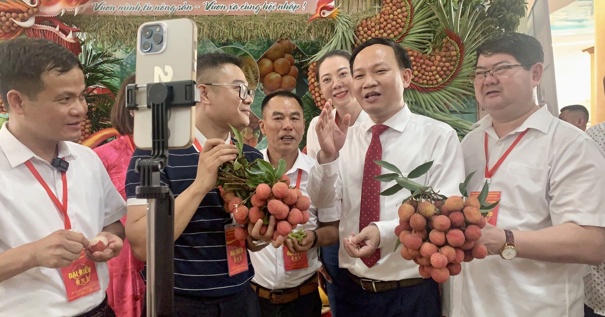 Giá vải "nhảy múa", doanh nghiệp lo không đủ hàng xuất khẩu