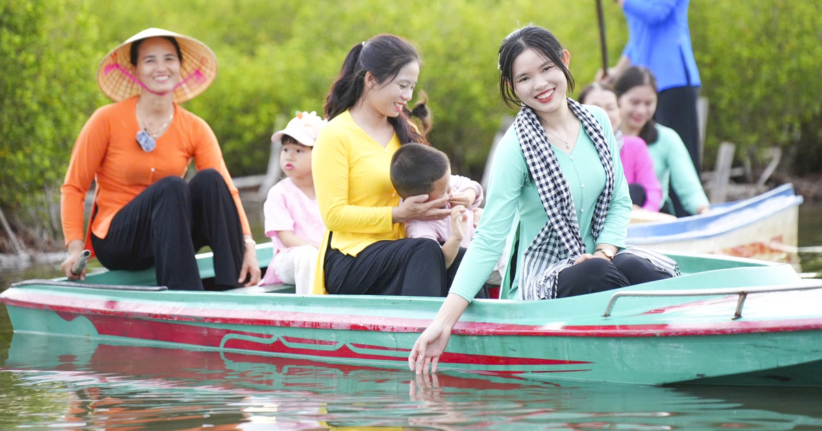 Về Quảng Ngãi khám phá 'bản đồ hương vị' giữa cánh đồng