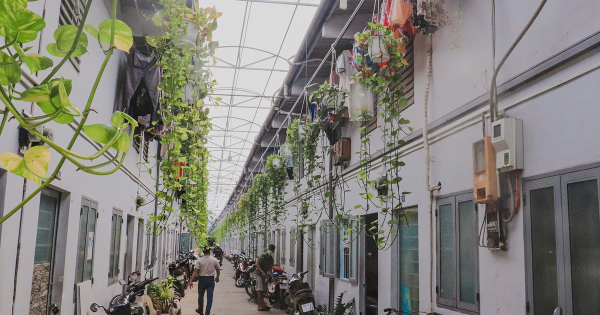 Tin vui cho người đi thuê nhà trọ