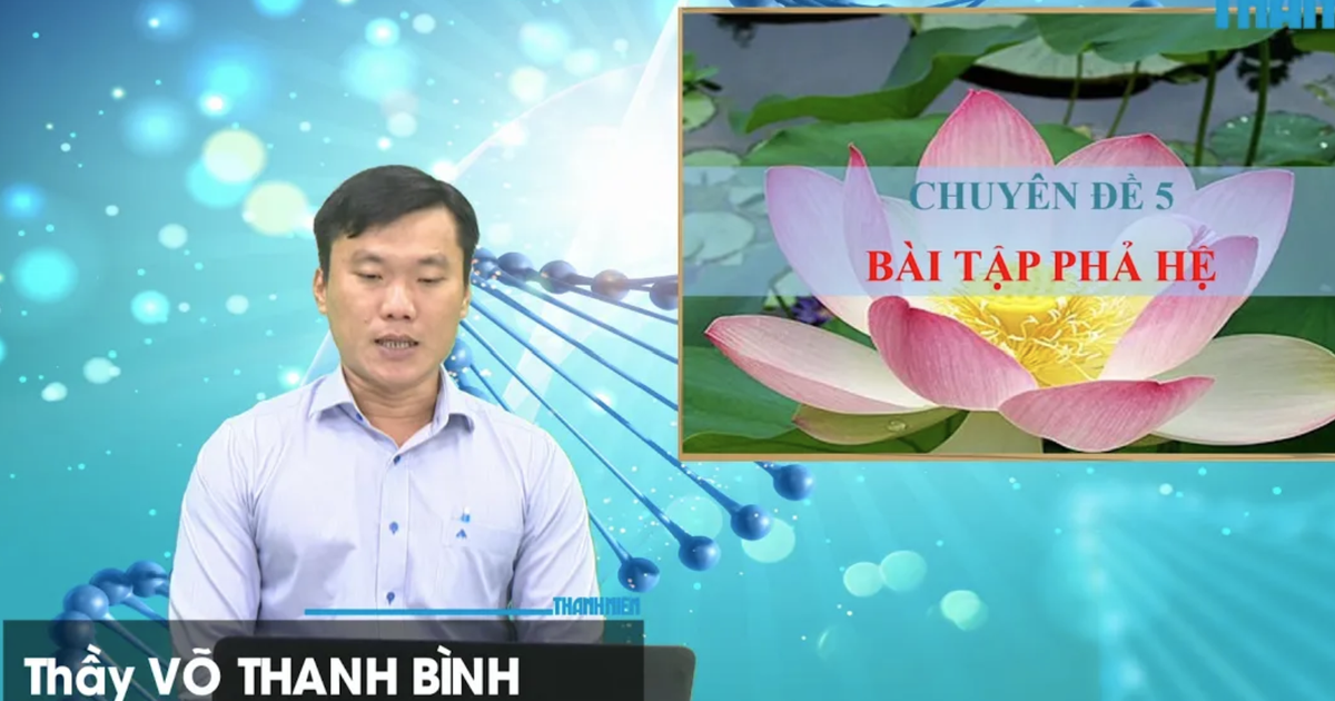 Bí quyết ôn thi tốt nghiệp THPT đạt điểm cao: Bài tập phả hệ