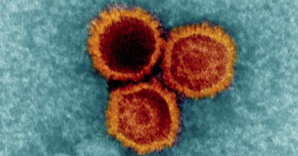 Chìa khóa đối phó loại virus có ở 95% dân số toàn cầu