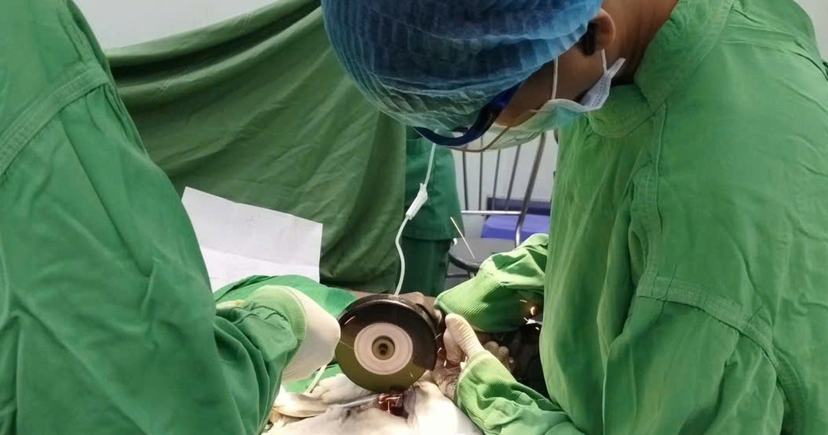 Suýt phải cắt bỏ dương vật bị 2 đai ốc kim loại siết chặt
